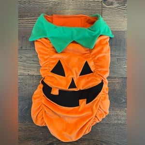 Pumpkin pet costume
